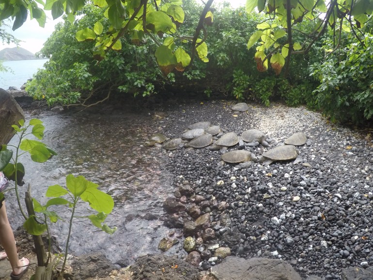 DCIM100GOPROGOPR0282.